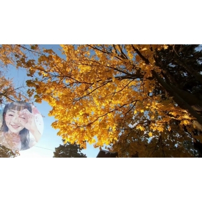 tnq5Orl7N9k-HD.jpg